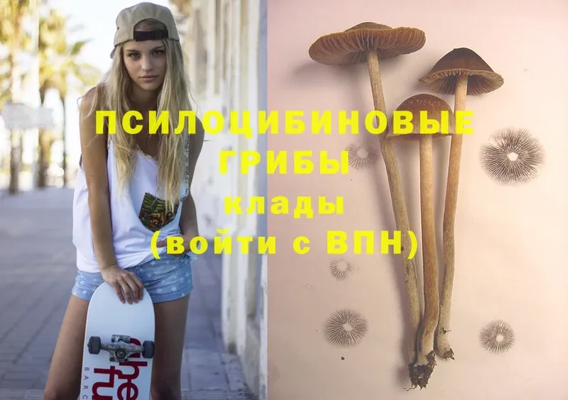 Псилоцибиновые грибы MAGIC MUSHROOMS  ОМГ ОМГ зеркало  Белозерск  купить закладку 